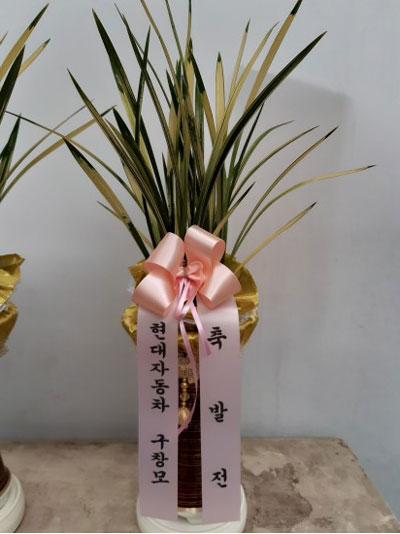 팔보기진 꽃배달