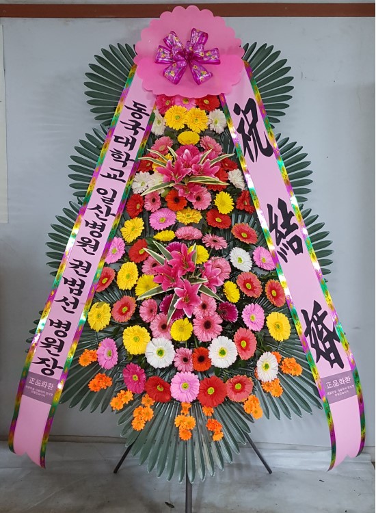 축하3단화환 꽃배달