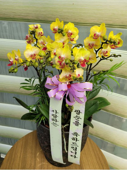 서양난 꽃배달