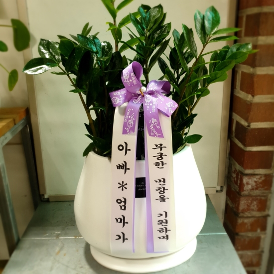 꽃바구니 꽃배달
