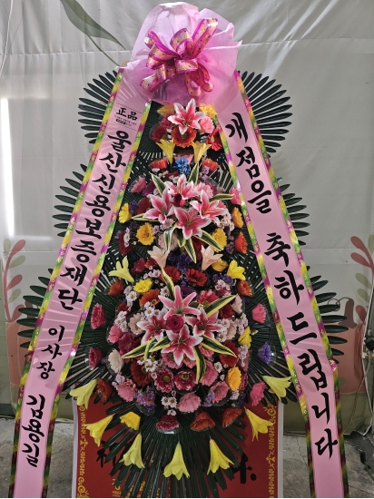 축하 꽃배달