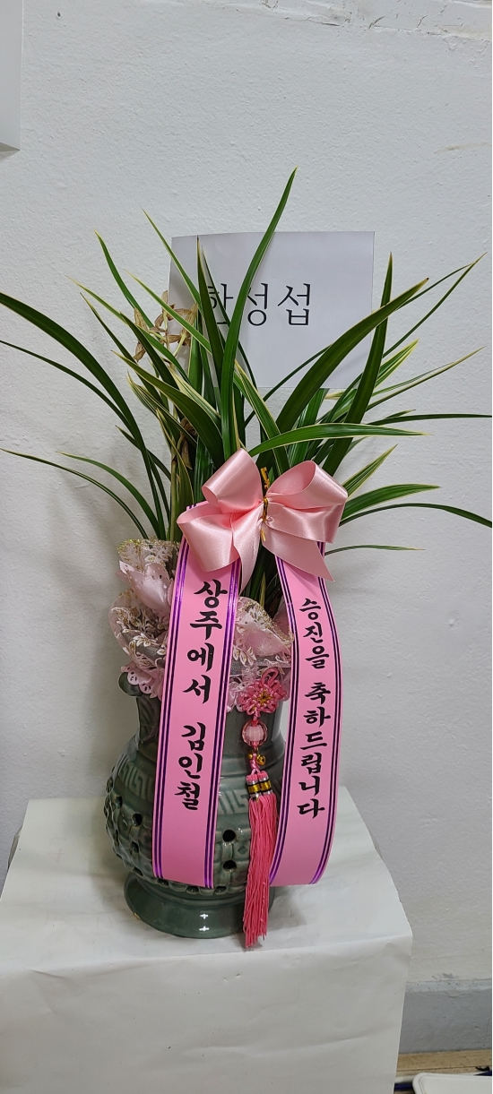 동서양란 꽃배달