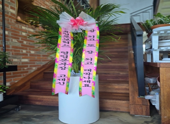 관엽화분(아레커야자(전화상 컨펌)) 꽃배달