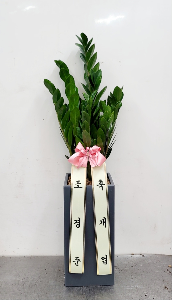 금전슨 꽃배달